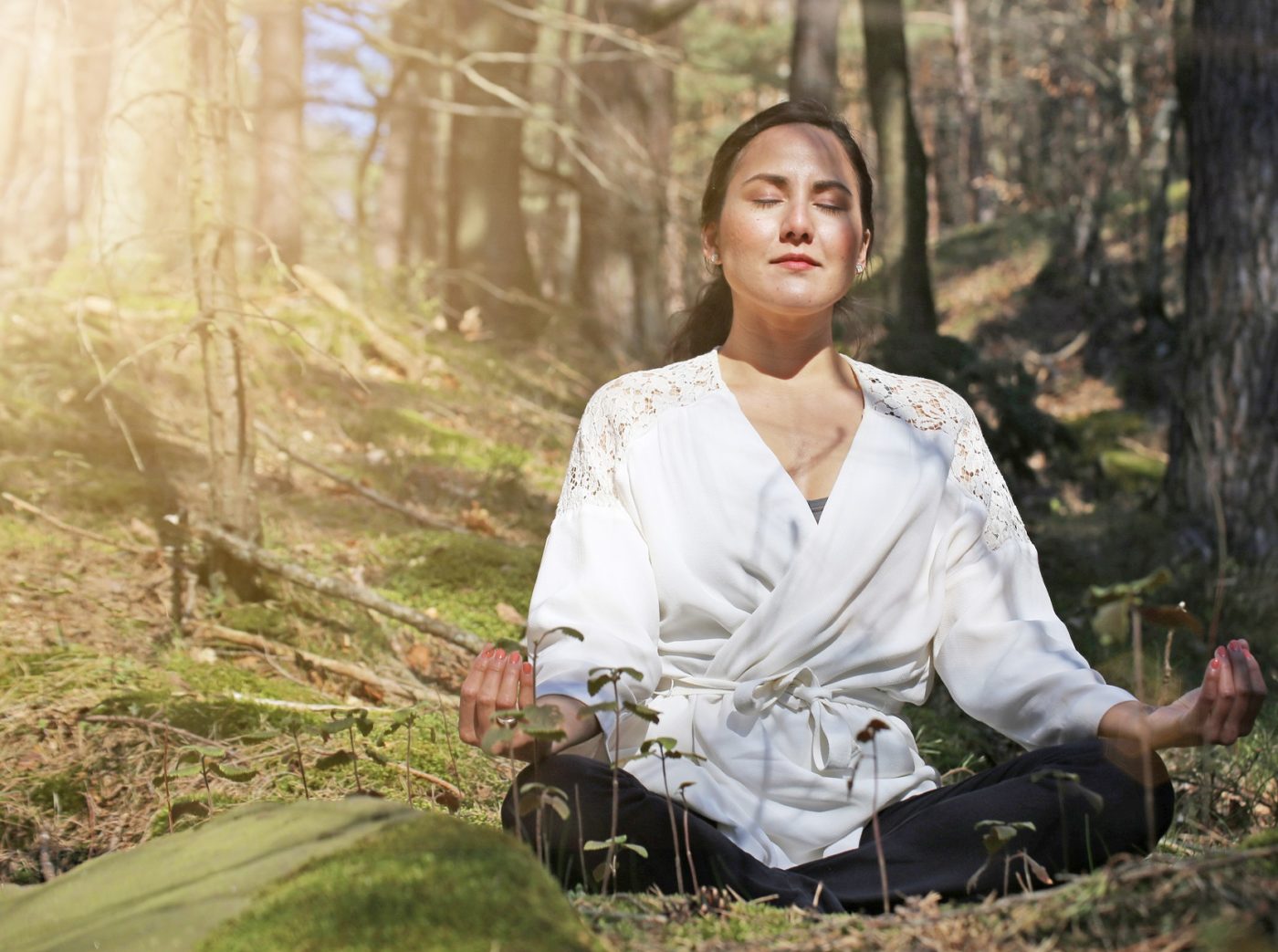 Forest Bathing, The Health Trend From Japan, Might Be Good For Your Health.